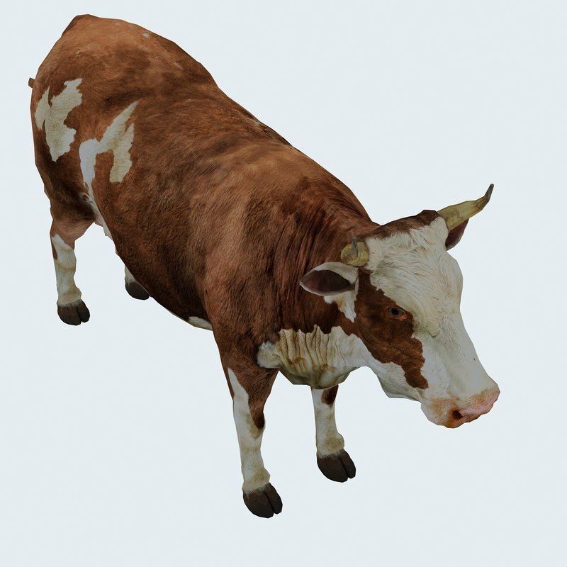 Low Poly Cow 3D model FBX OBJ STL 3ds Blend Max Low-poly 3D model_8
