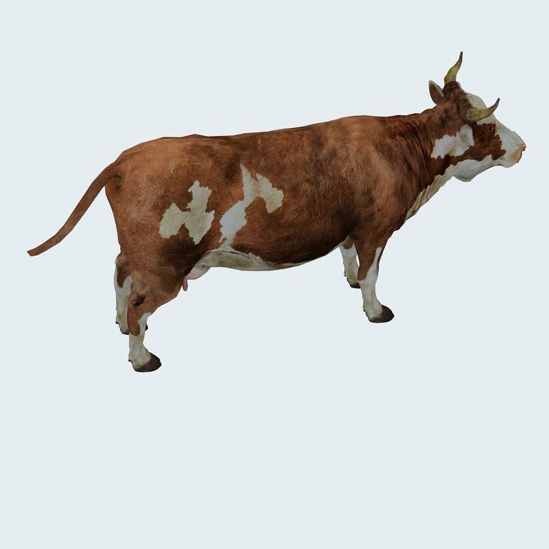 Low Poly Cow 3D model FBX OBJ STL 3ds Blend Max Low-poly 3D model_6
