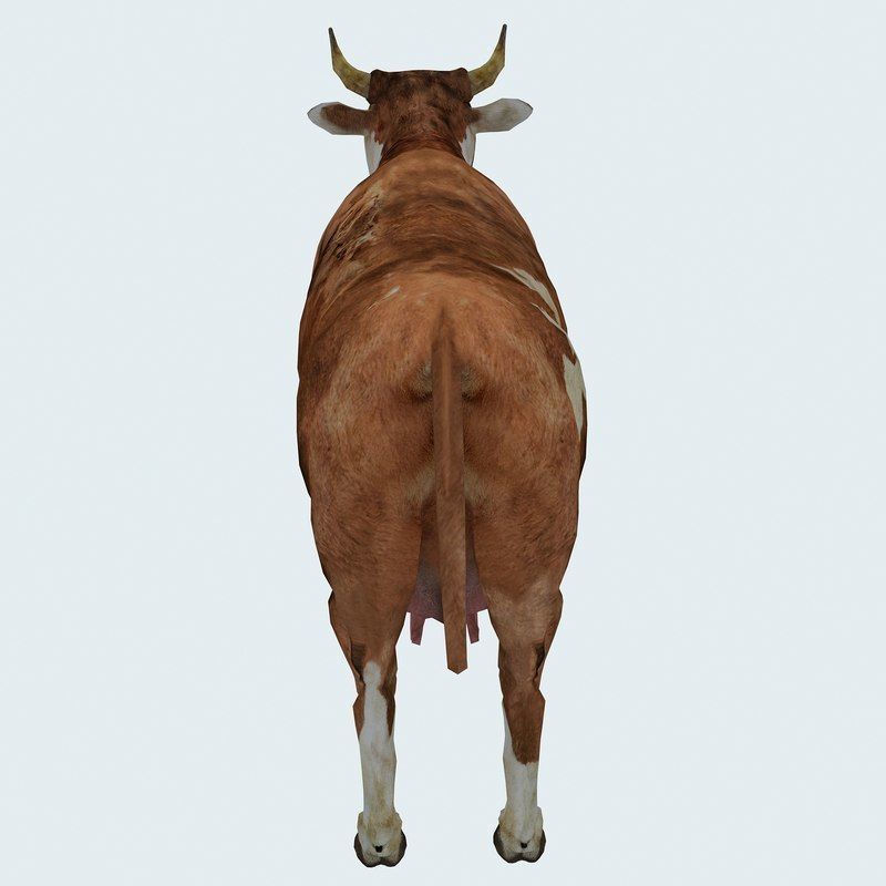 Low Poly Cow 3D model FBX OBJ STL 3ds Blend Max Low-poly 3D model_4
