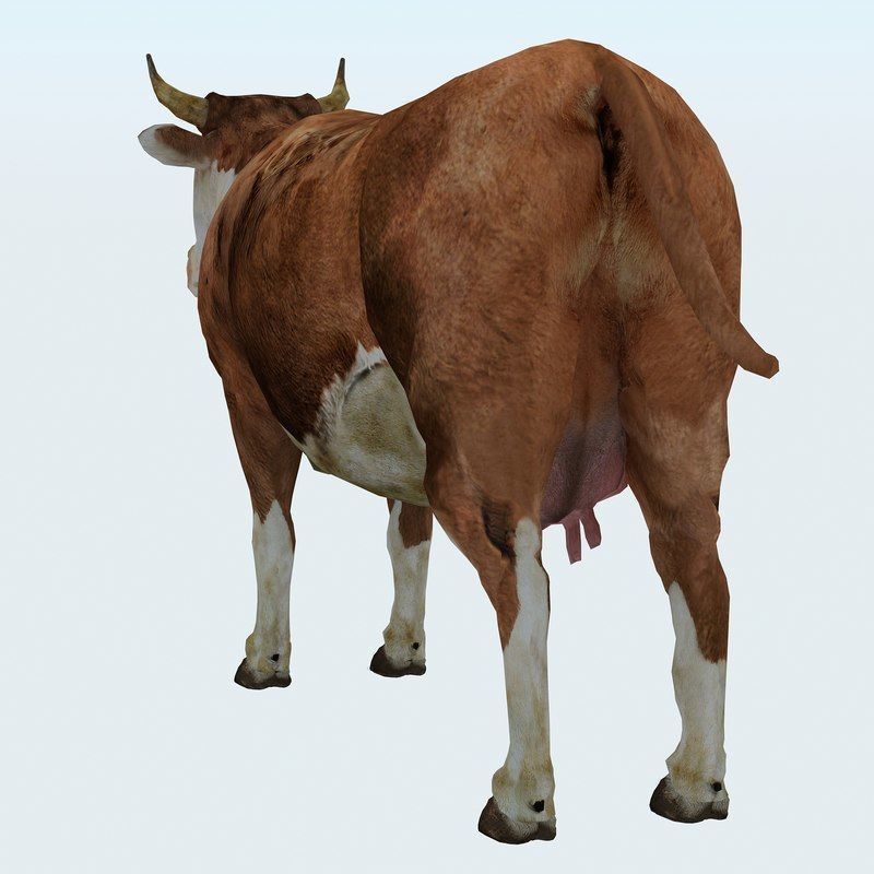 Low Poly Cow 3D model FBX OBJ STL 3ds Blend Max Low-poly 3D model_3