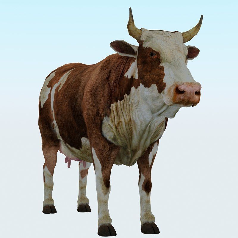 Low Poly Cow 3D model FBX OBJ STL 3ds Blend Max Low-poly 3D model_9