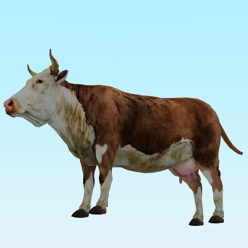 Low Poly Cow 3D model FBX OBJ STL 3ds Blend Max Low-poly 3D model_13