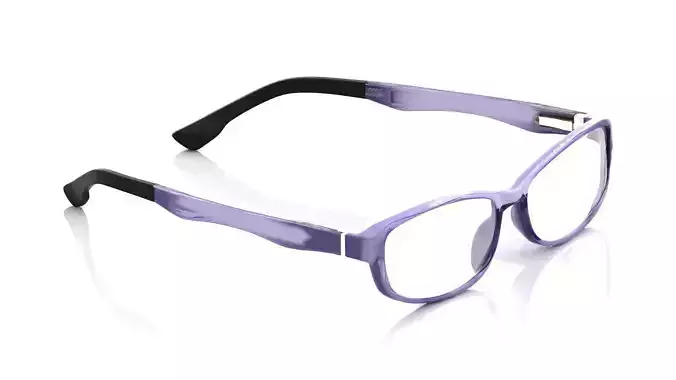 Eyeglasses for Men and Women 3D print model