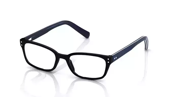 Eyeglasses for Men and Women 3D print model