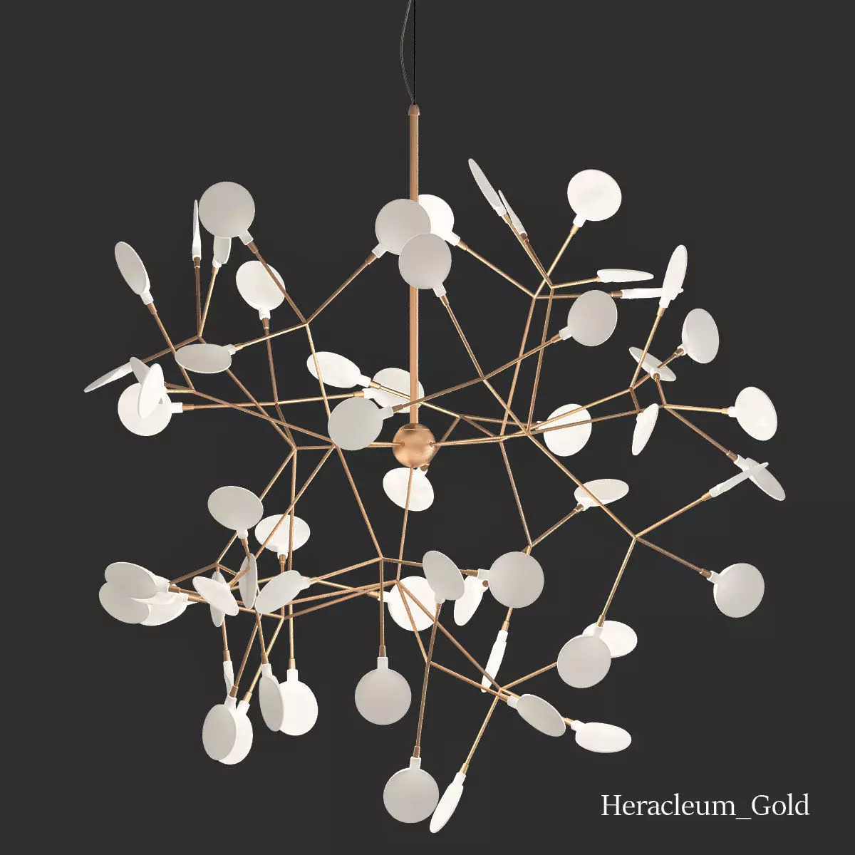 Heracleum Gold 3D model_0