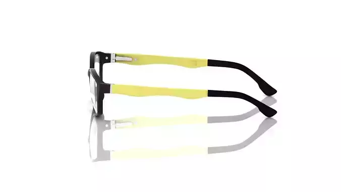 Eyeglasses for Men and Women 3D print model