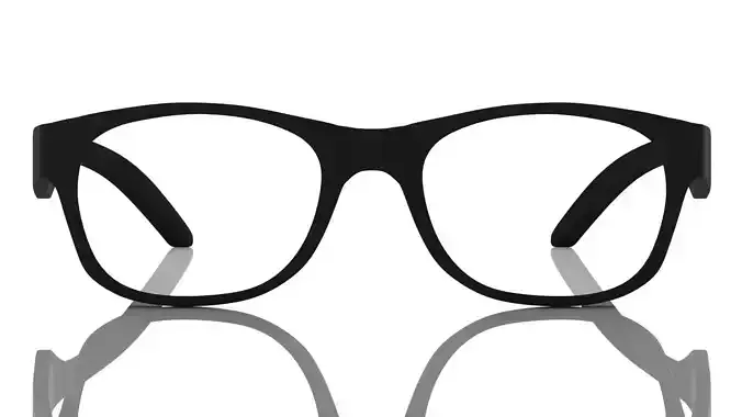 Eyeglasses for Men and Women 3D print model