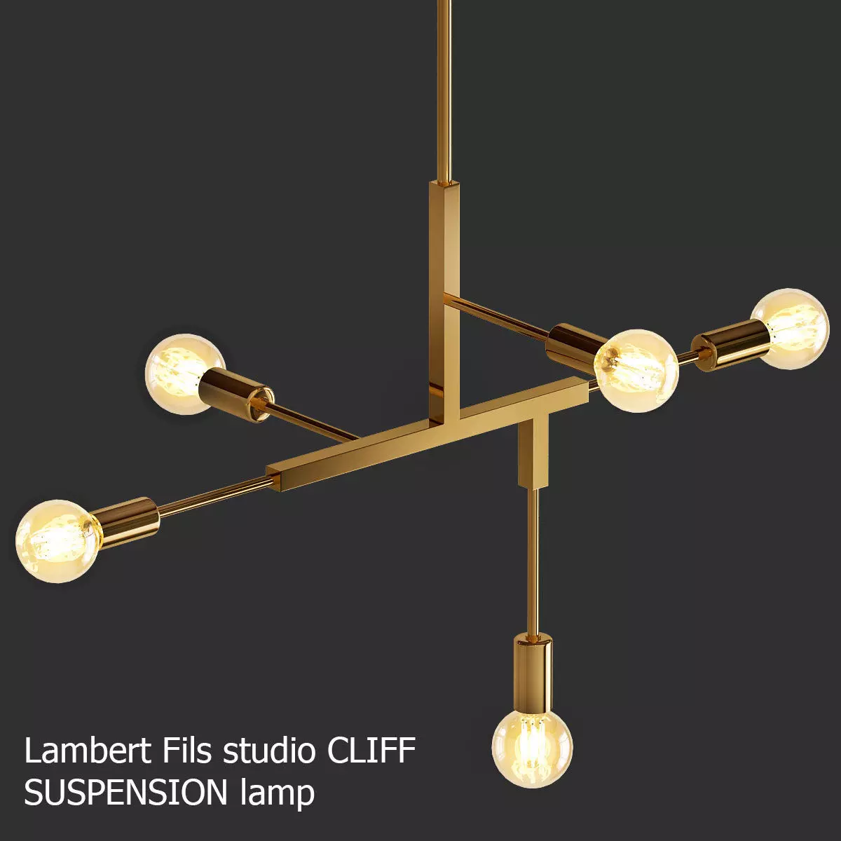 Lambert Fils studio CLIFF SUSPENSION lamp 3D model_0