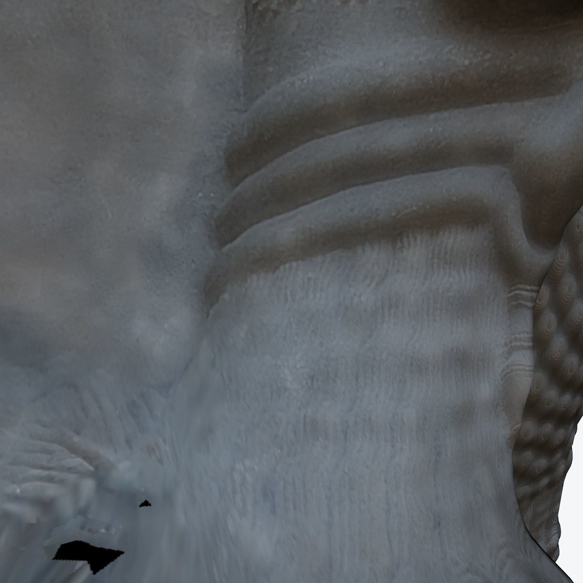 ASSYRIAN - WINGED BULL OF KORSABAD 3D model_37