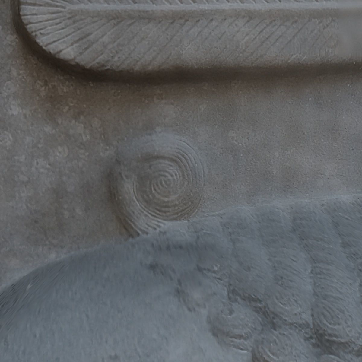 ASSYRIAN - WINGED BULL OF KORSABAD 3D model_6