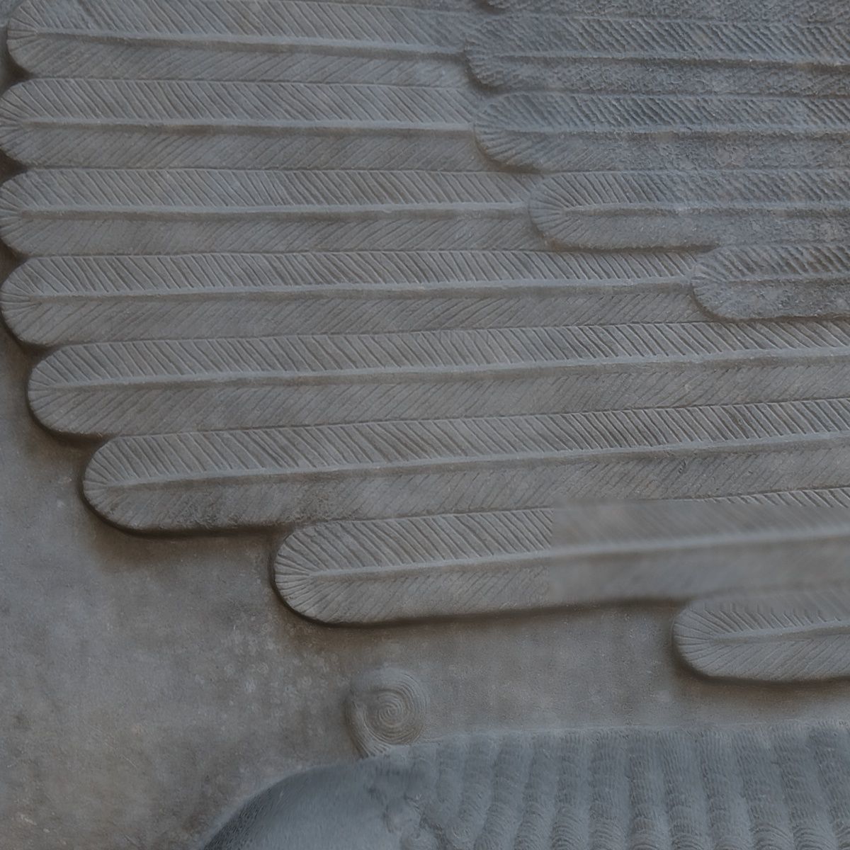 ASSYRIAN - WINGED BULL OF KORSABAD 3D model_113