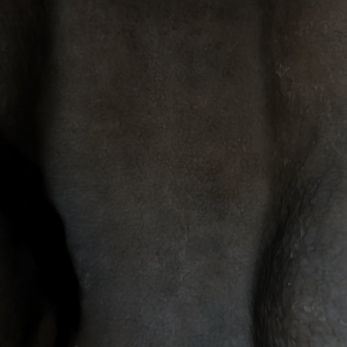 ASSYRIAN - WINGED BULL OF KORSABAD 3D model_27