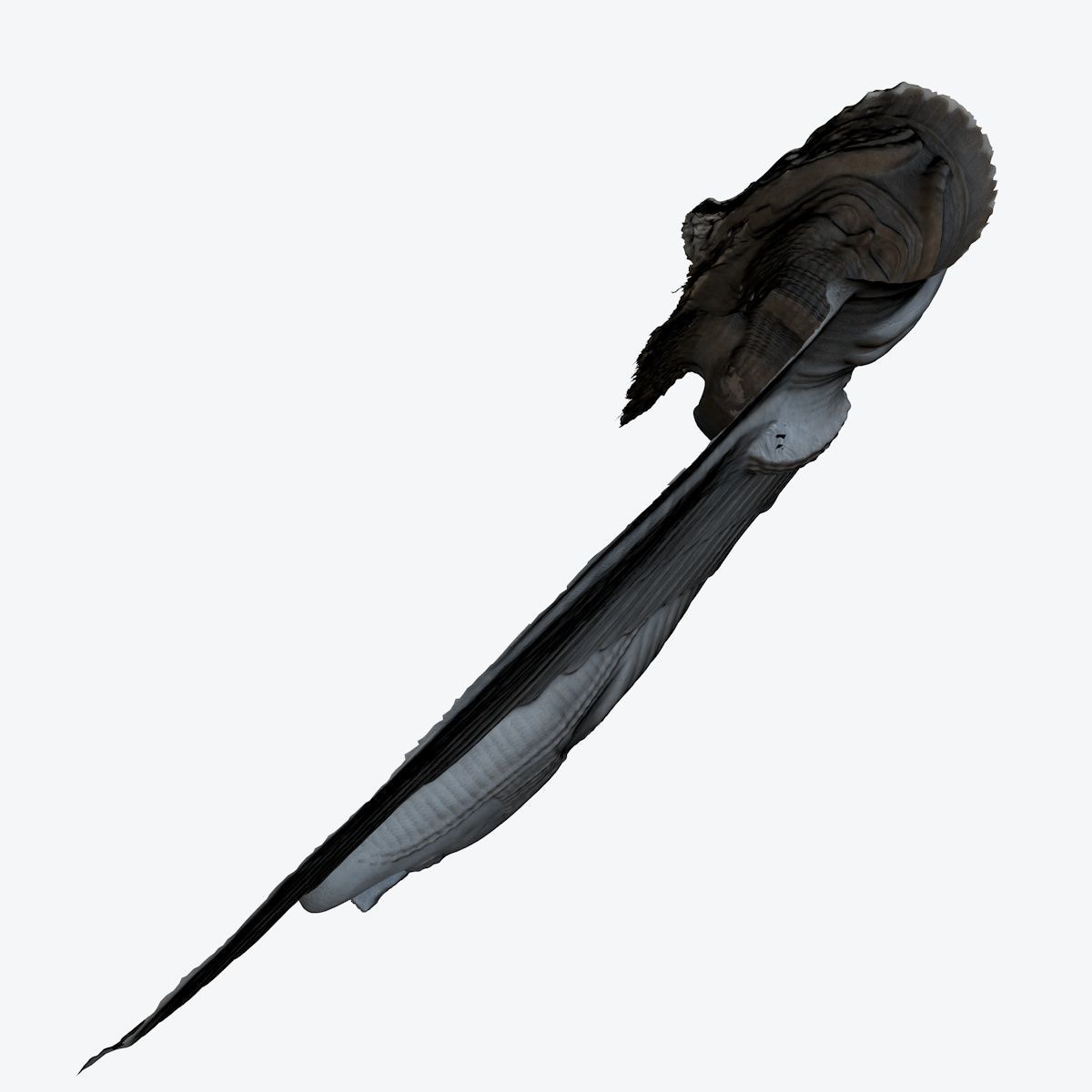 ASSYRIAN - WINGED BULL OF KORSABAD 3D model_83