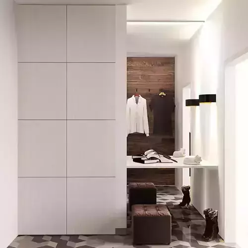 Wardrobe collection closet in modern home