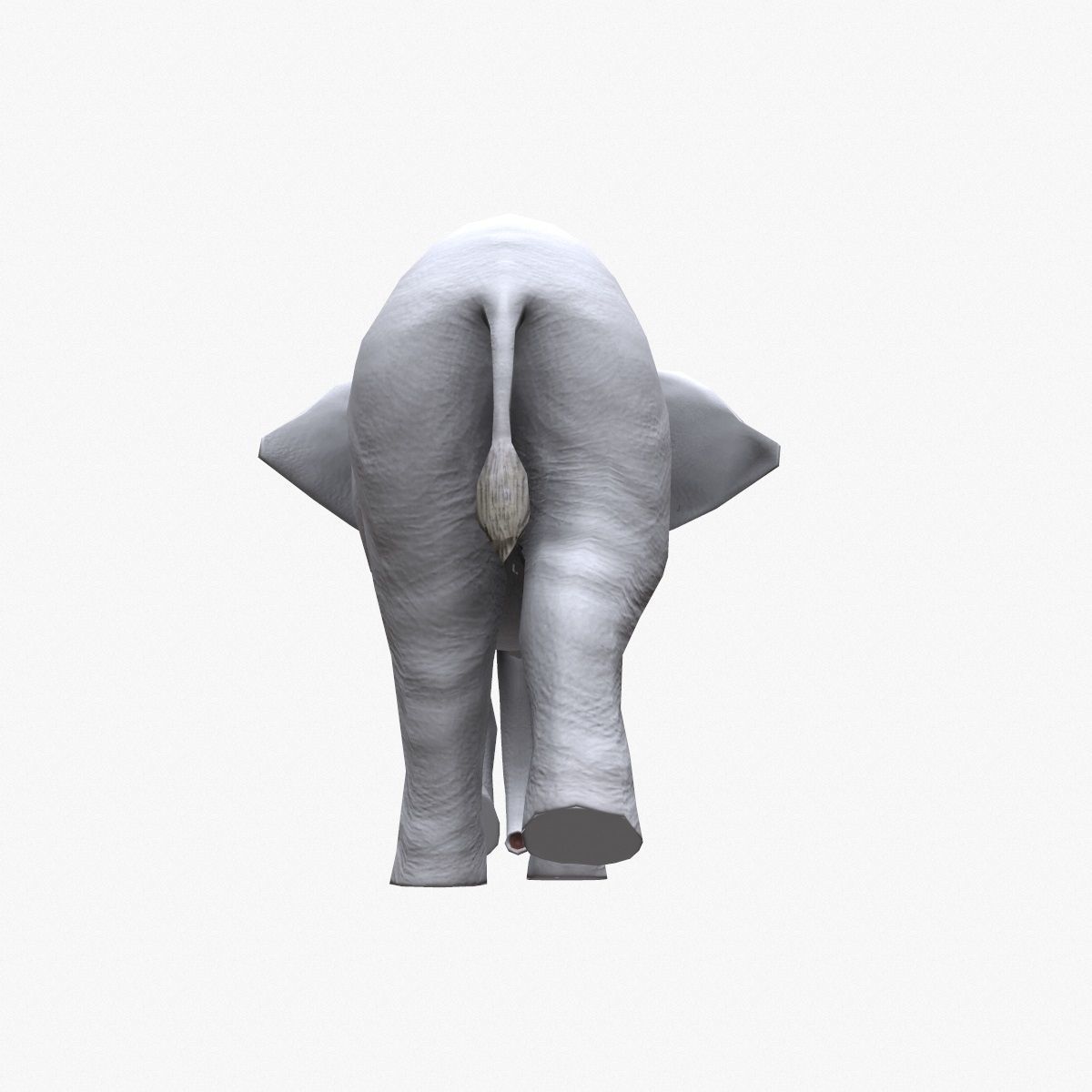 Elephant with tusks Low-poly 3D model_6