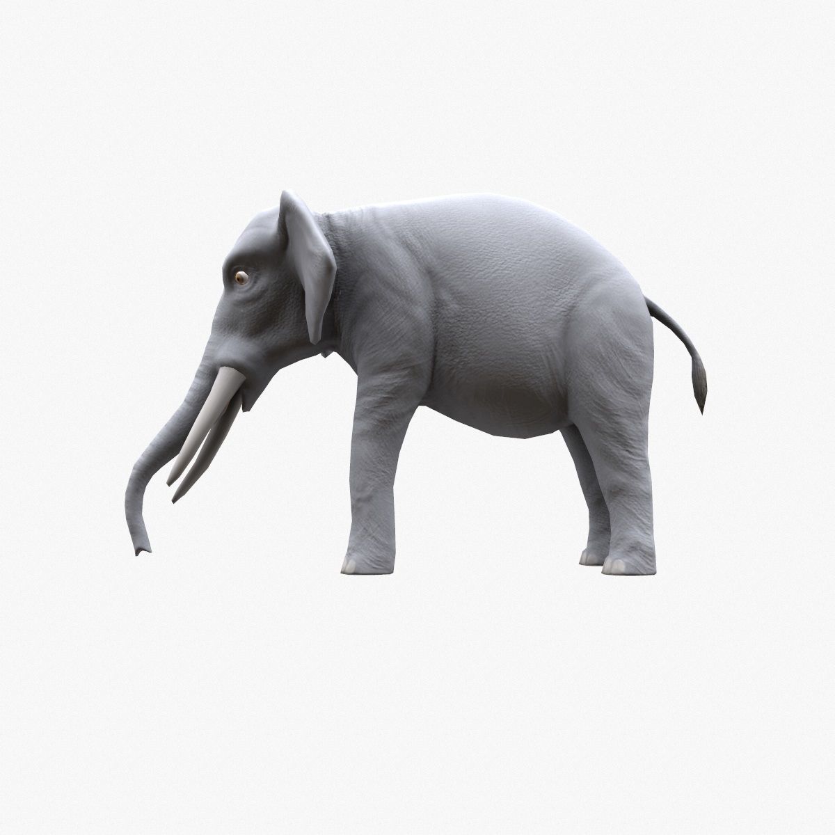 Elephant with tusks Low-poly 3D model_12