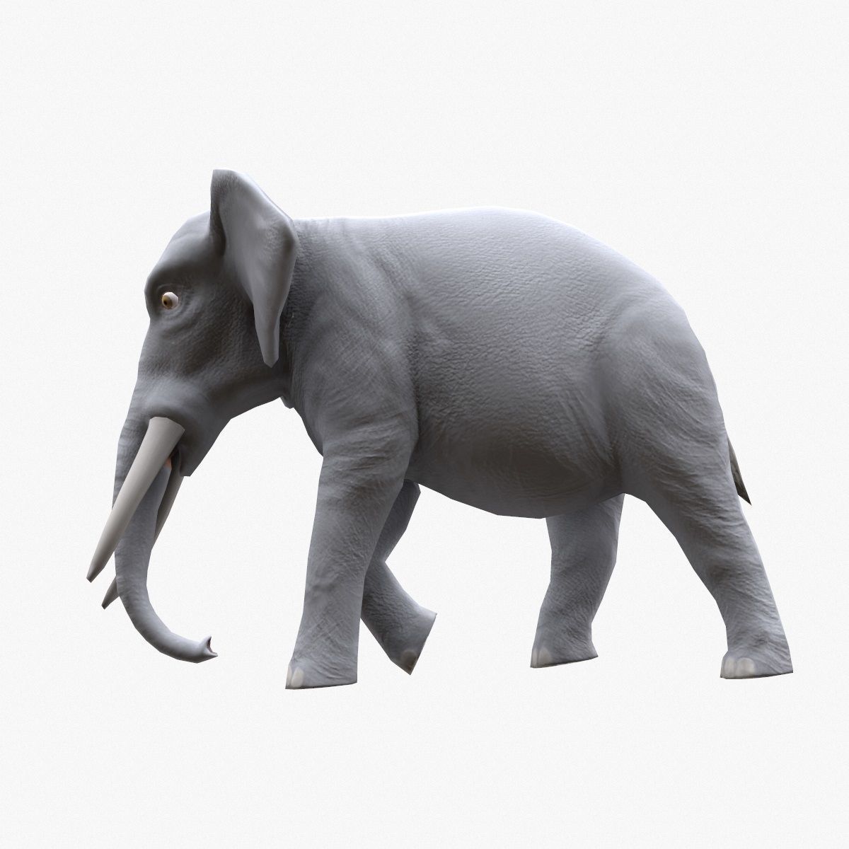 Elephant with tusks Low-poly 3D model_7