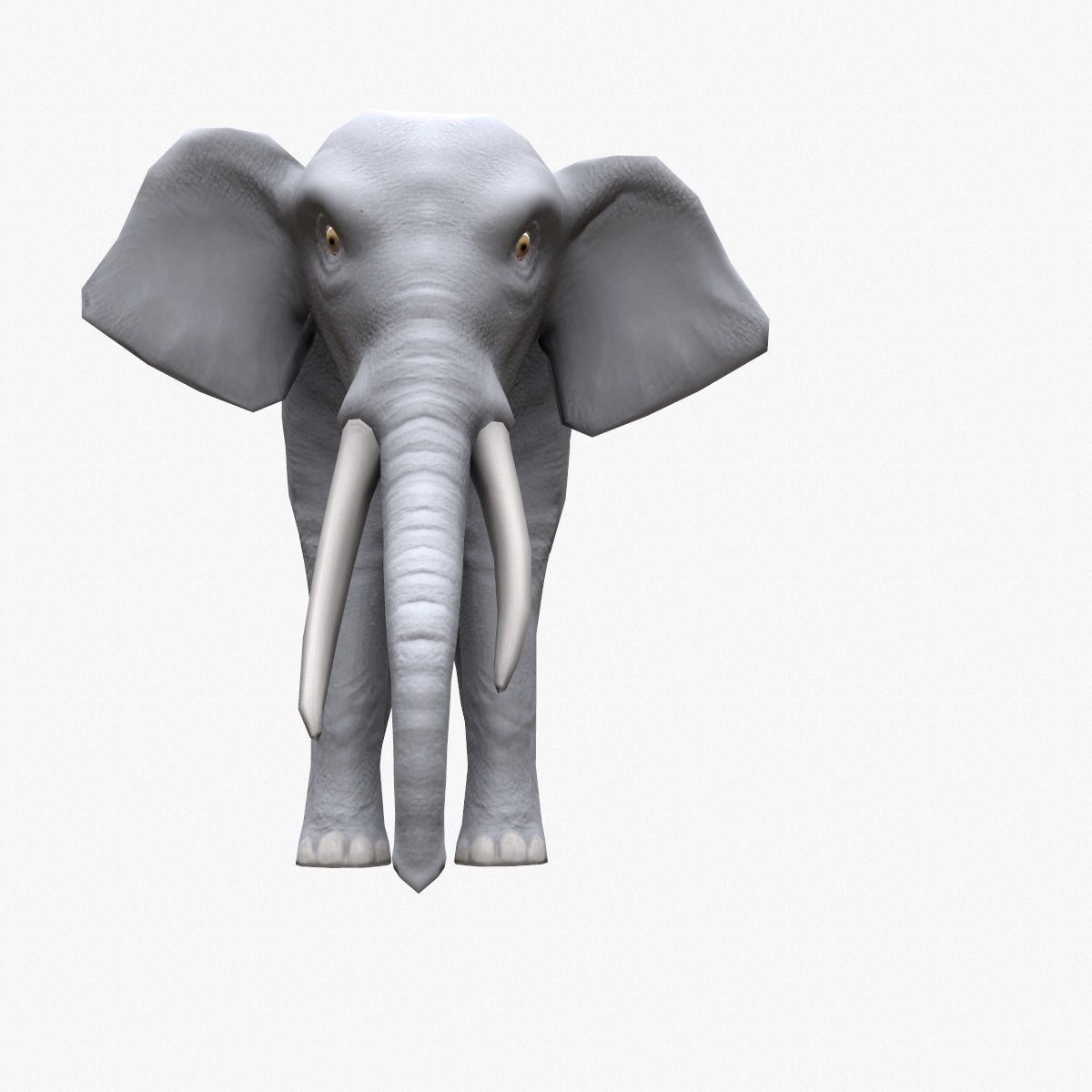 Elephant with tusks Low-poly 3D model_11