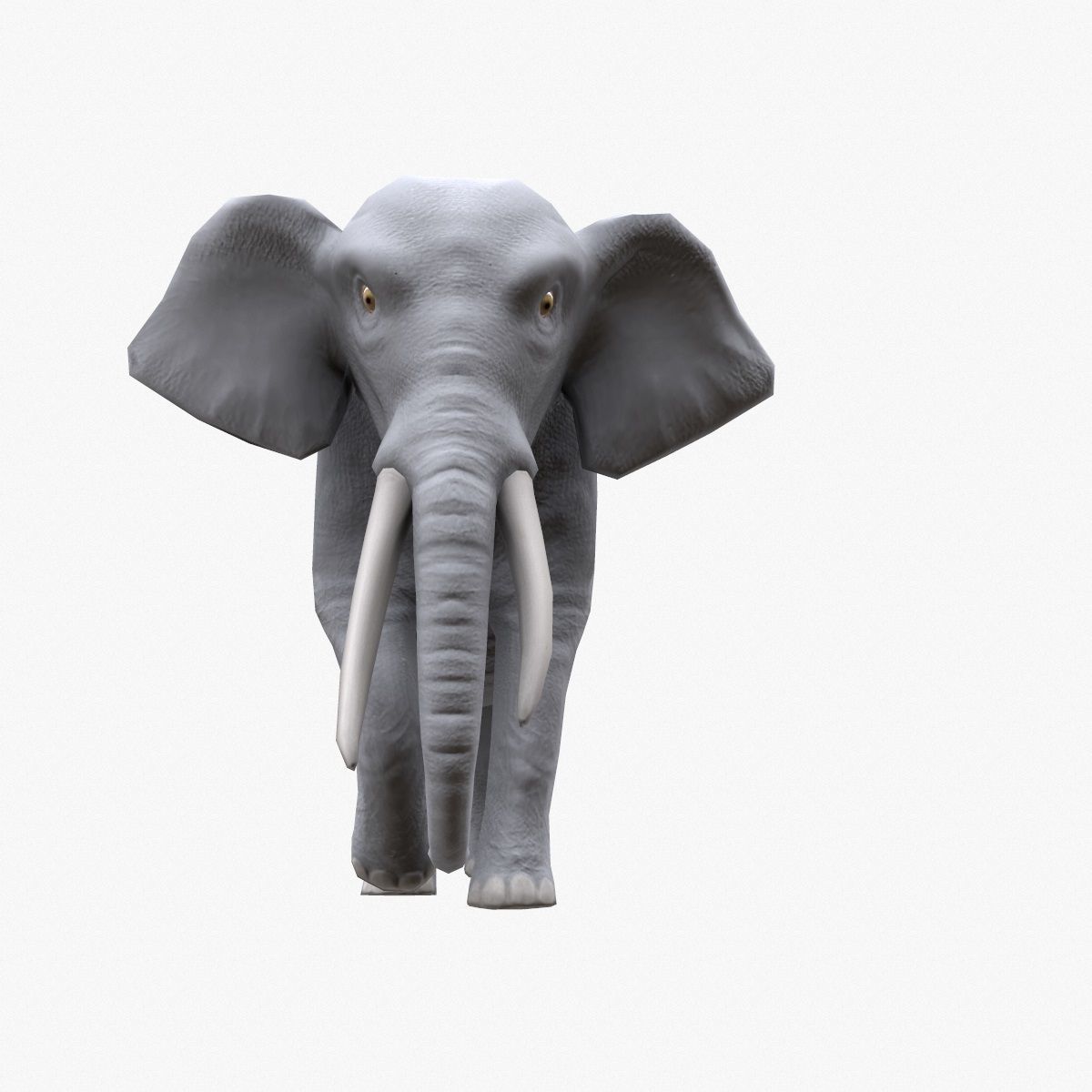 Elephant with tusks Low-poly 3D model_10