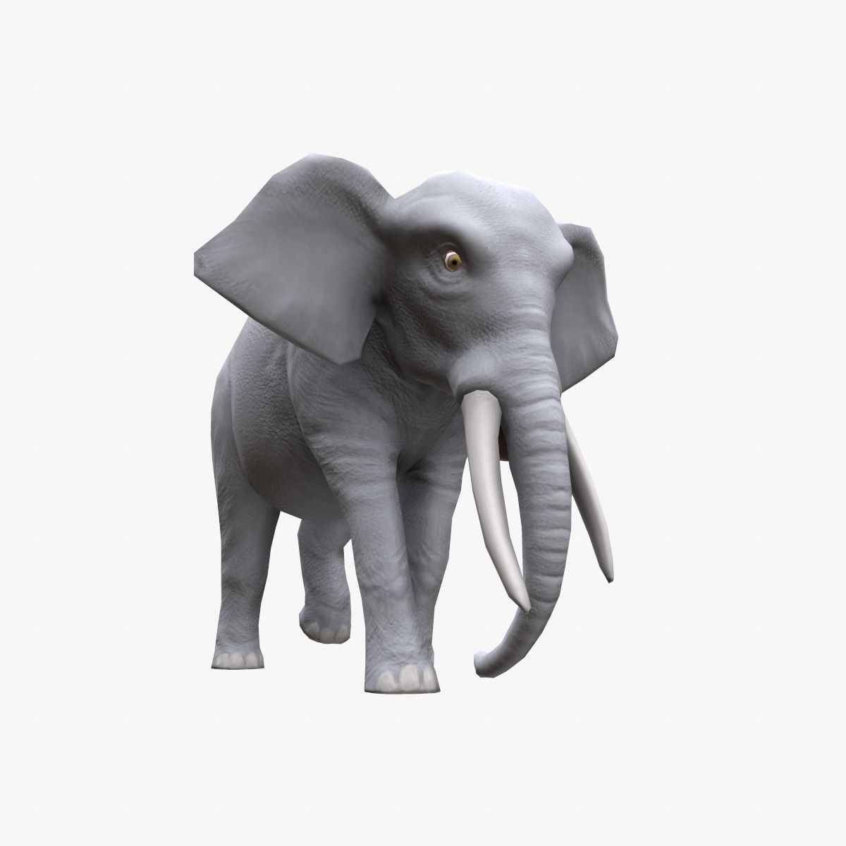 Elephant with tusks Low-poly 3D model_8