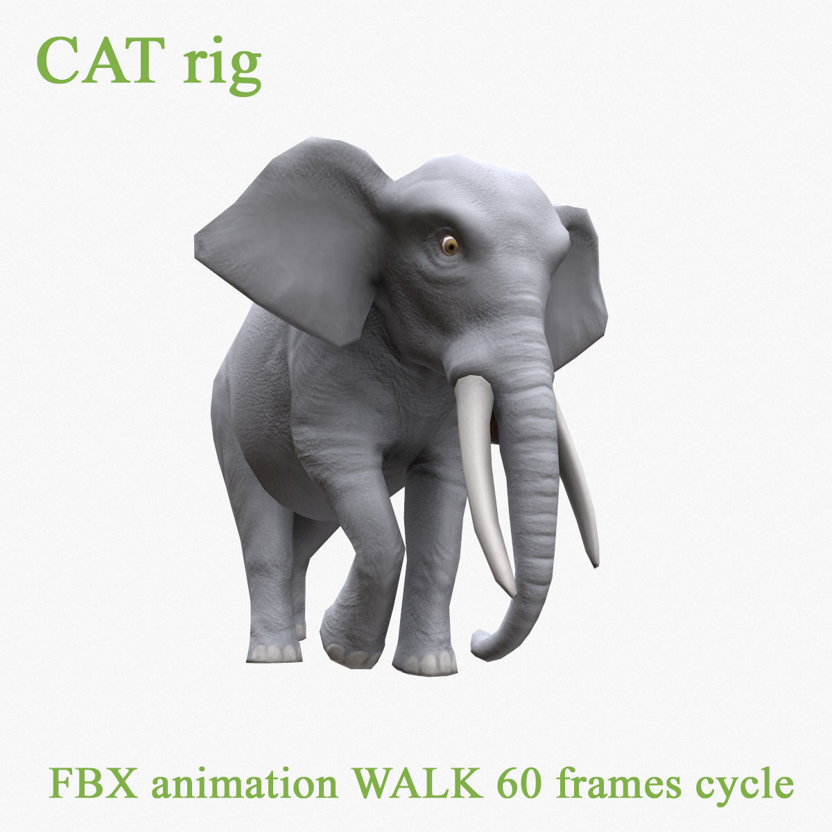 Elephant with tusks Low-poly 3D model_4