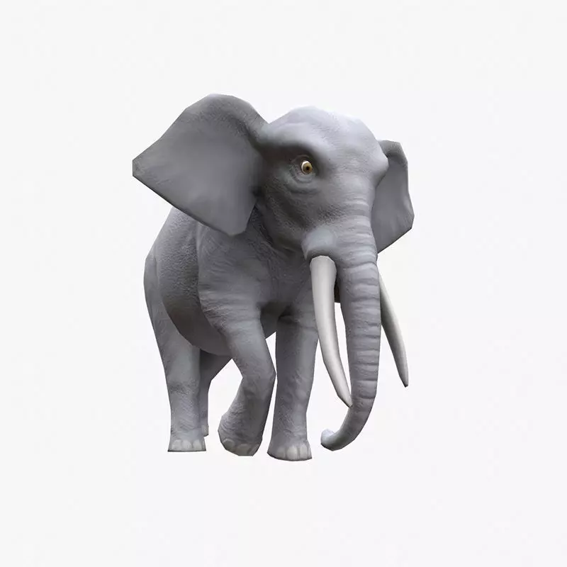 Elephant with tusks Low-poly 3D model_0