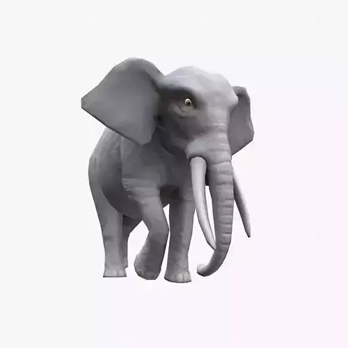 Elephant with tusks Low-poly 3D model