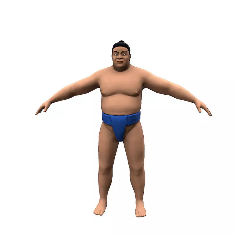 SUMO wrestler Low-poly 3D model_0