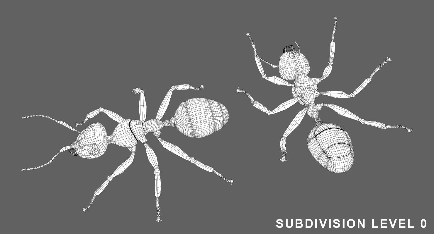 Ant 3D Animated Low-poly 3D model_8