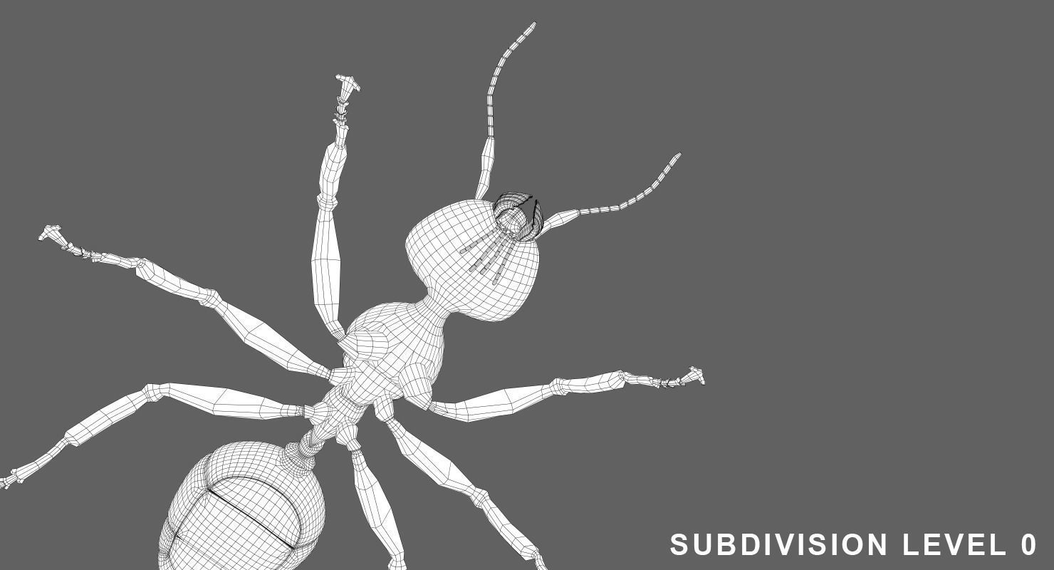 Ant 3D Animated Low-poly 3D model_10