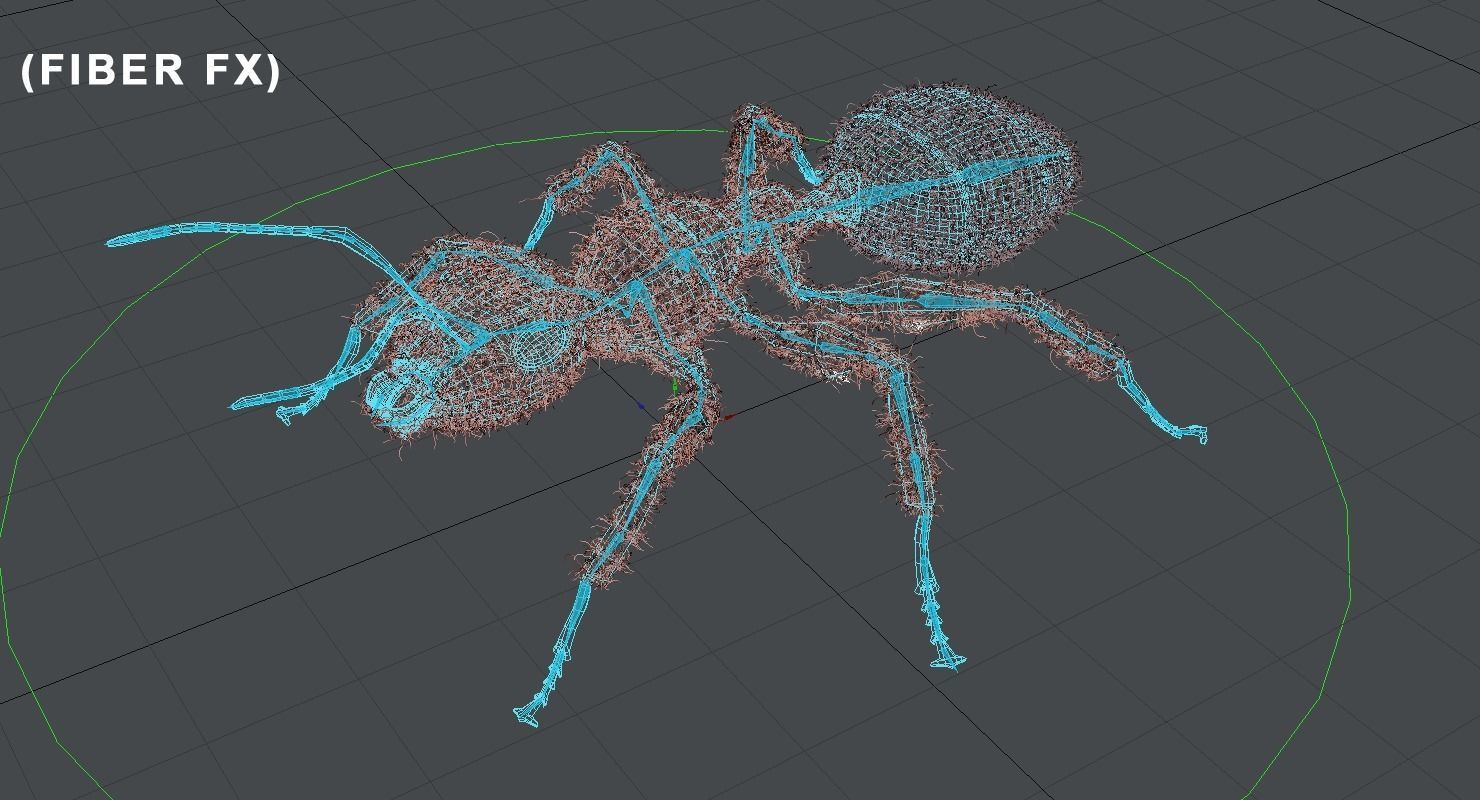 Ant 3D Animated Low-poly 3D model_6
