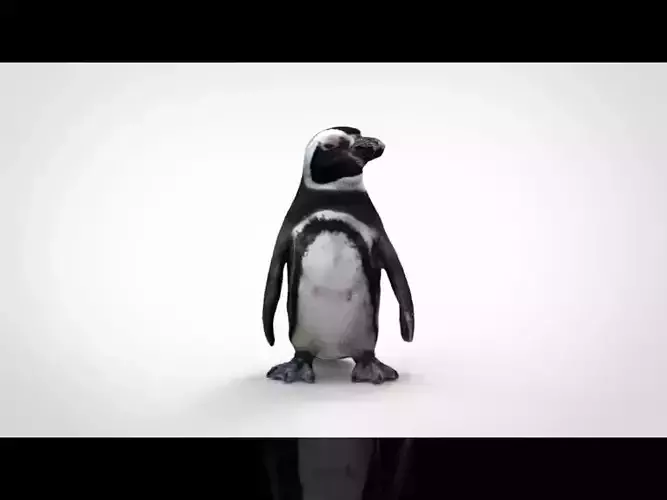 PENGUIN