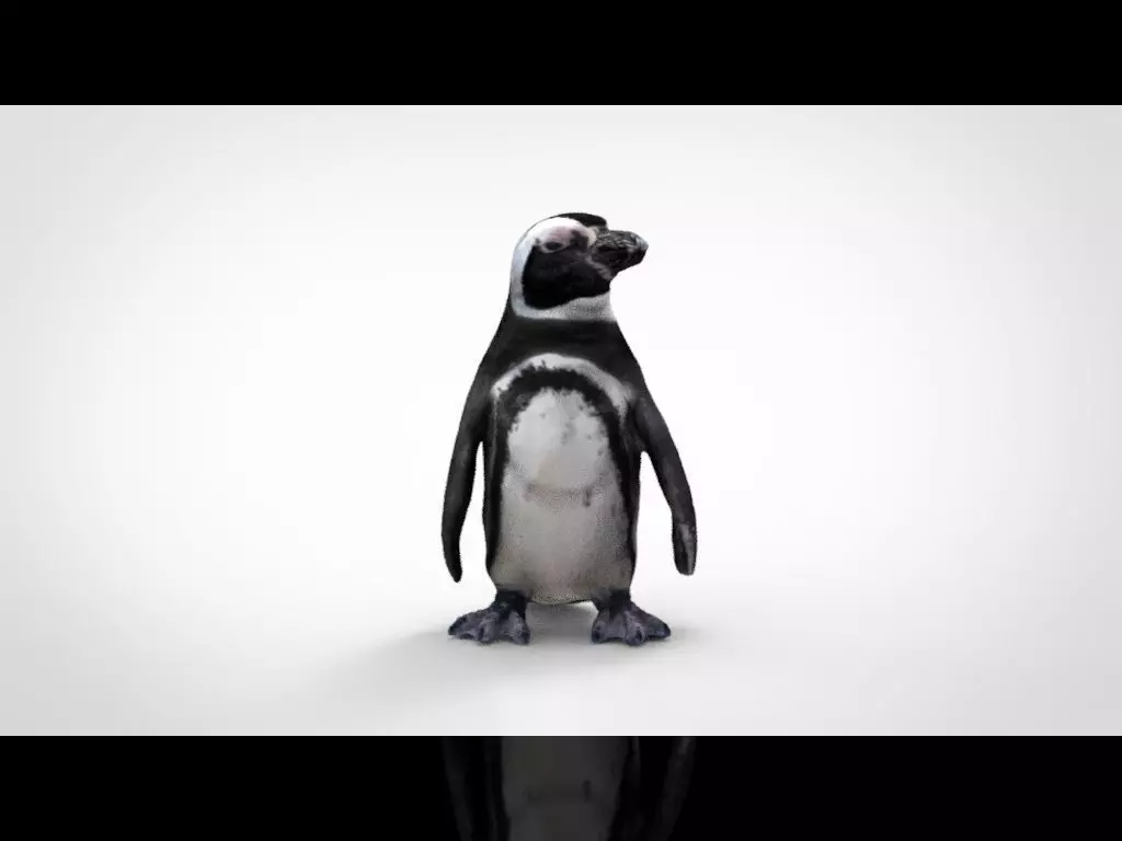 PENGUIN Low-poly 3D model_0