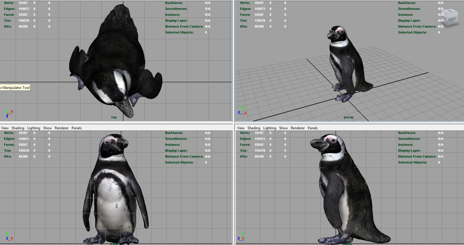 PENGUIN Low-poly 3D model_8