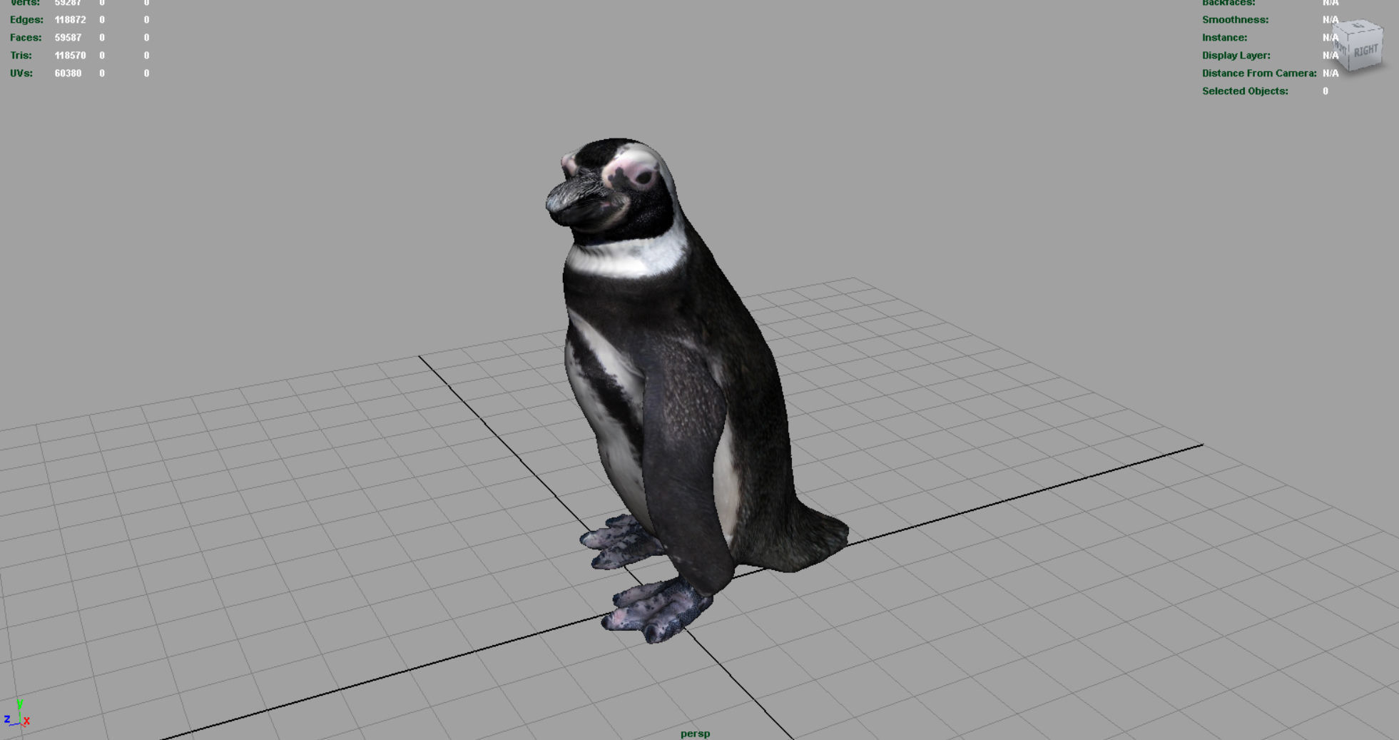 PENGUIN Low-poly 3D model_5