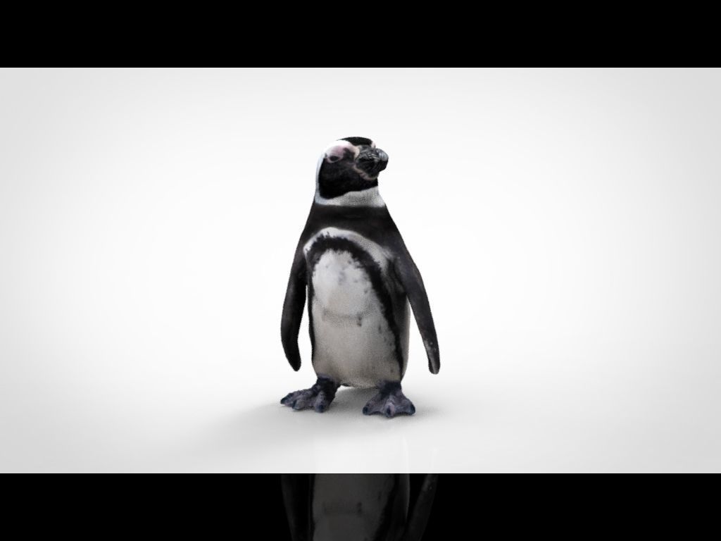 PENGUIN Low-poly 3D model_2