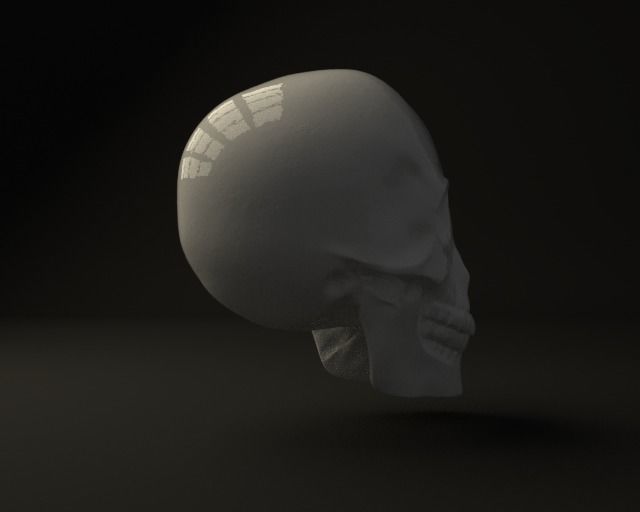 Skull 3D model