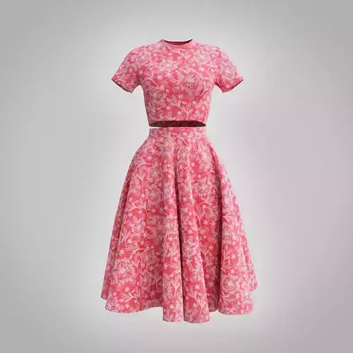 fancy dress - croptop and circle skirt 3D model