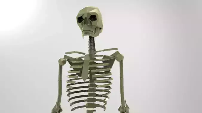 Human-Skeleton skeleton