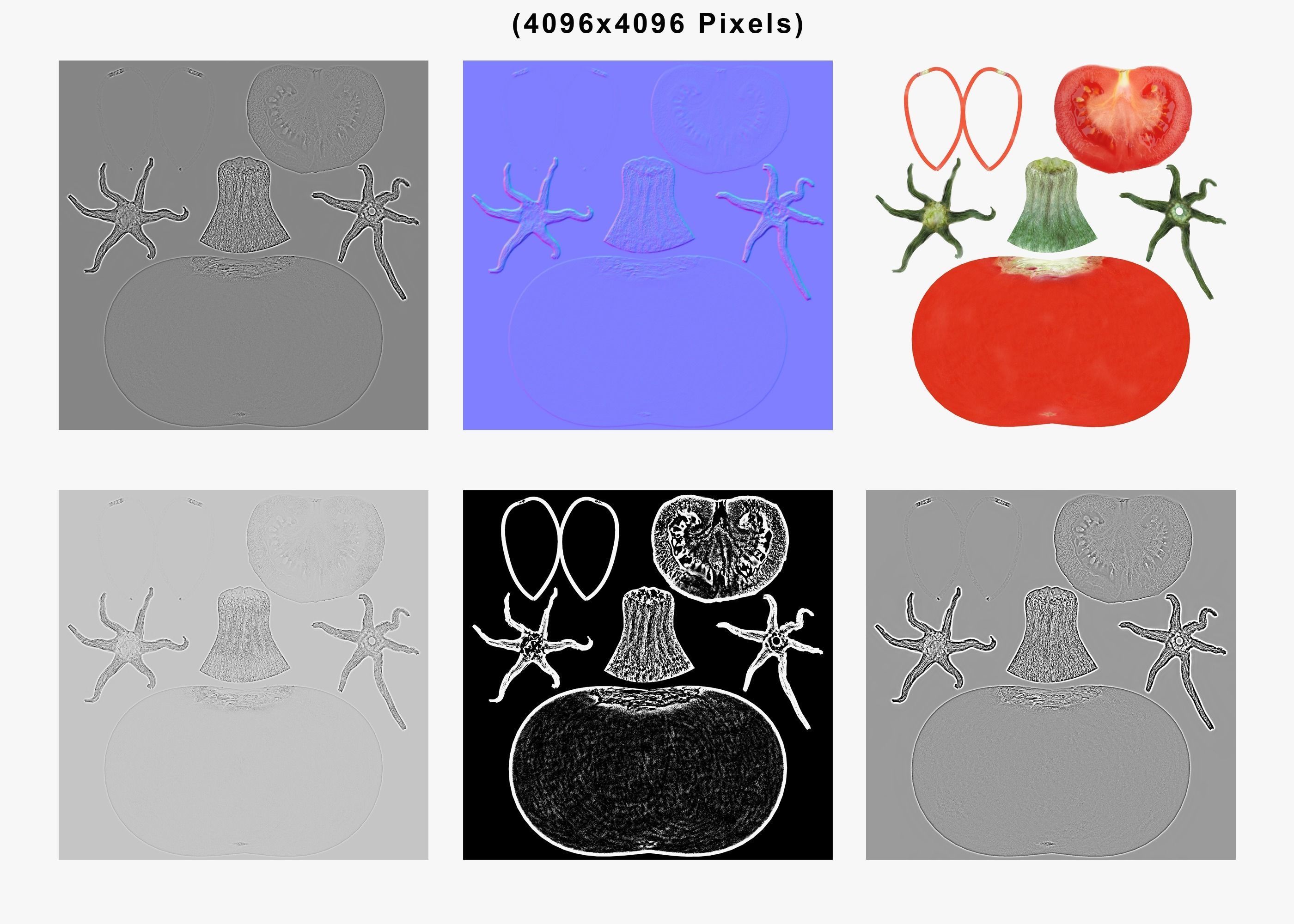 Tomato sliced Low-poly 3D model_10