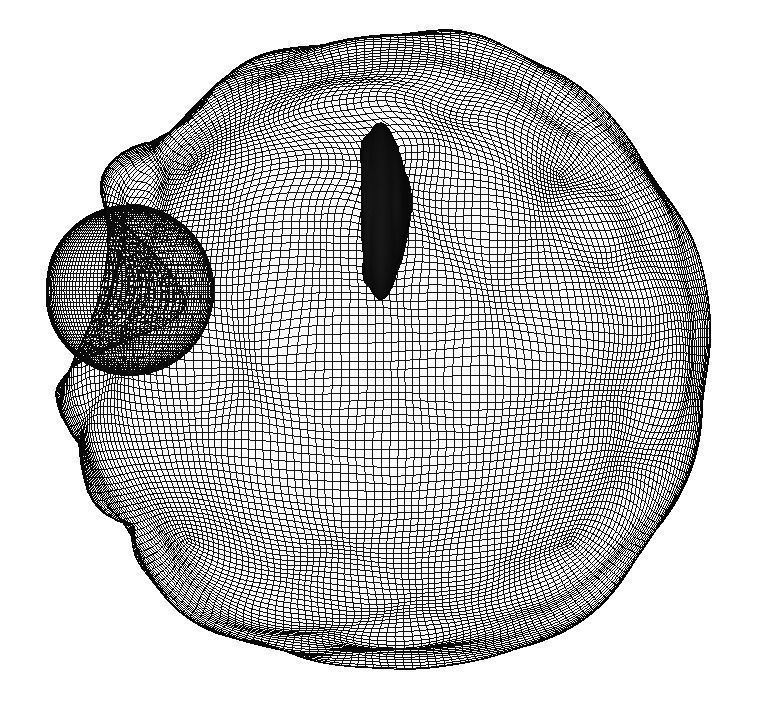 One Eye Character Head 3D model_4