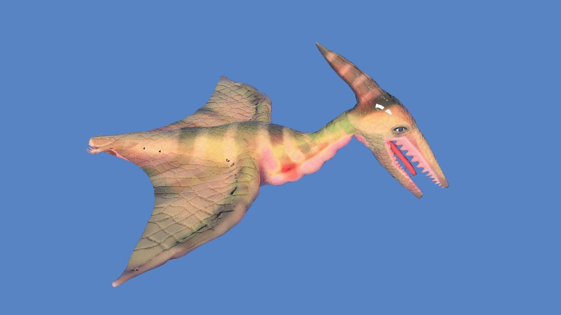pteranodon dinosaur 3D model_1