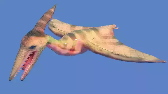 pteranodon dinosaur 3D model