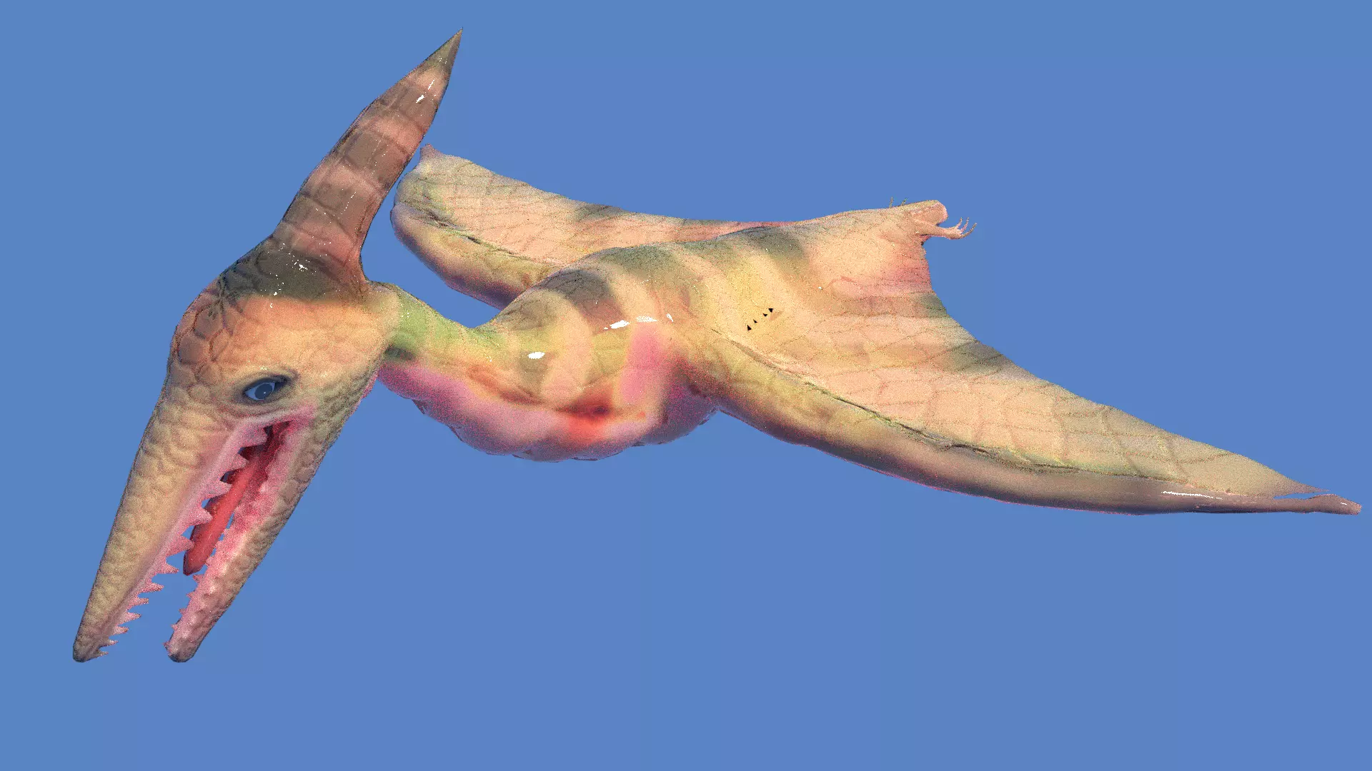 pteranodon dinosaur 3D model_0