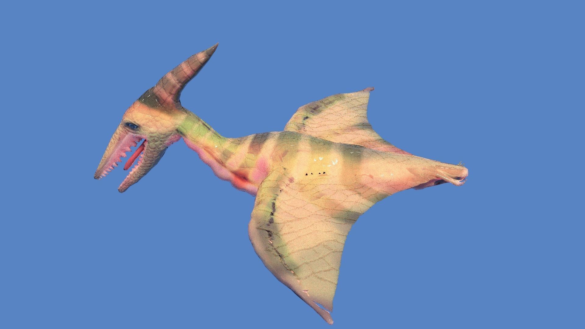 pteranodon dinosaur 3D model_2