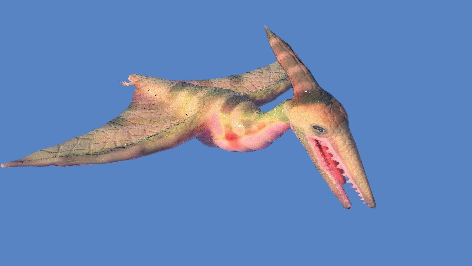 pteranodon dinosaur 3D model_3