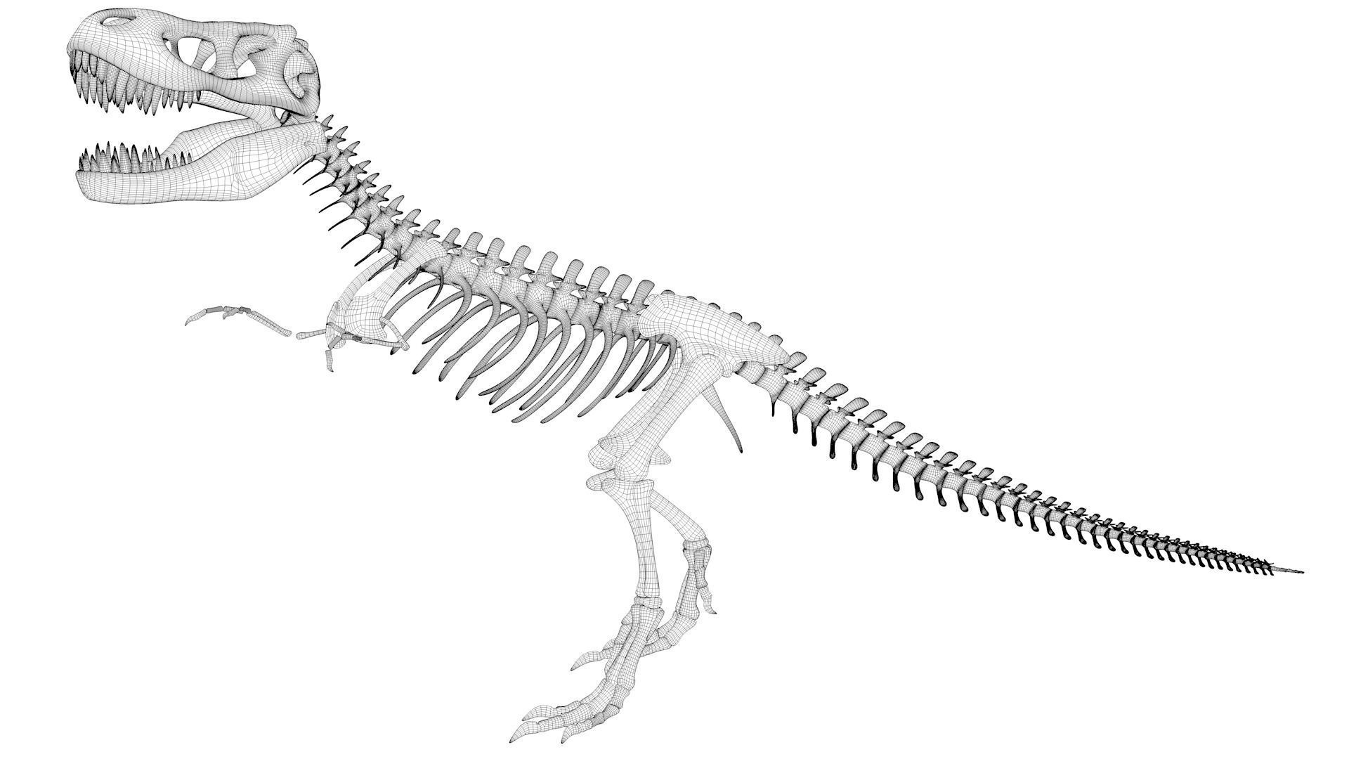 T-rex Skeleton 3D model_14