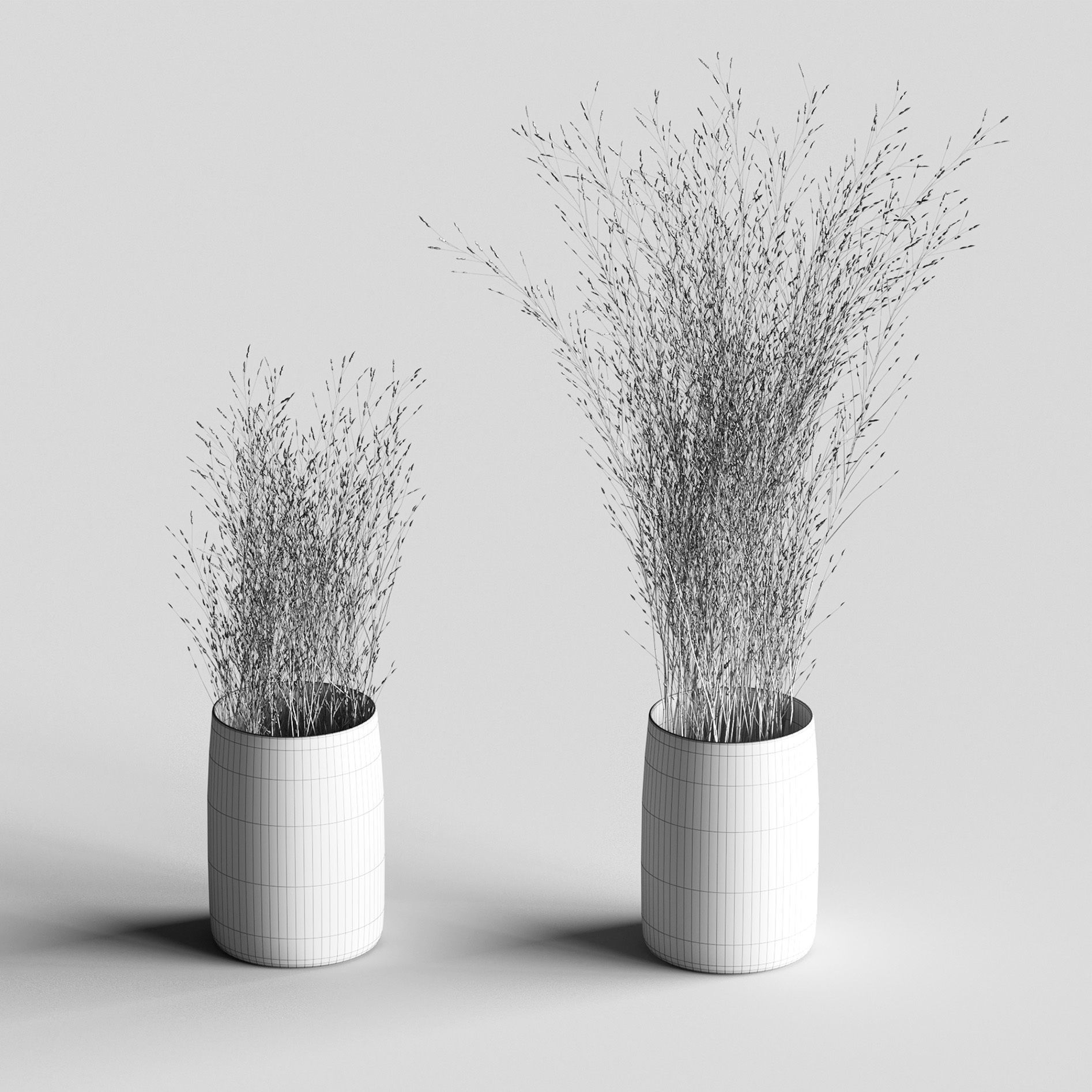 Grass in vases 3D model_2