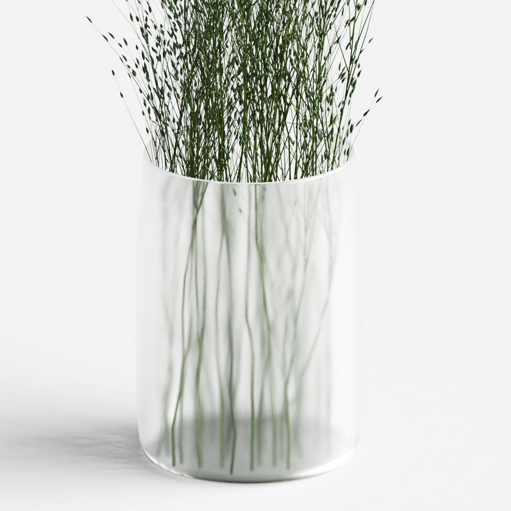 Grass in vases 3D model_1