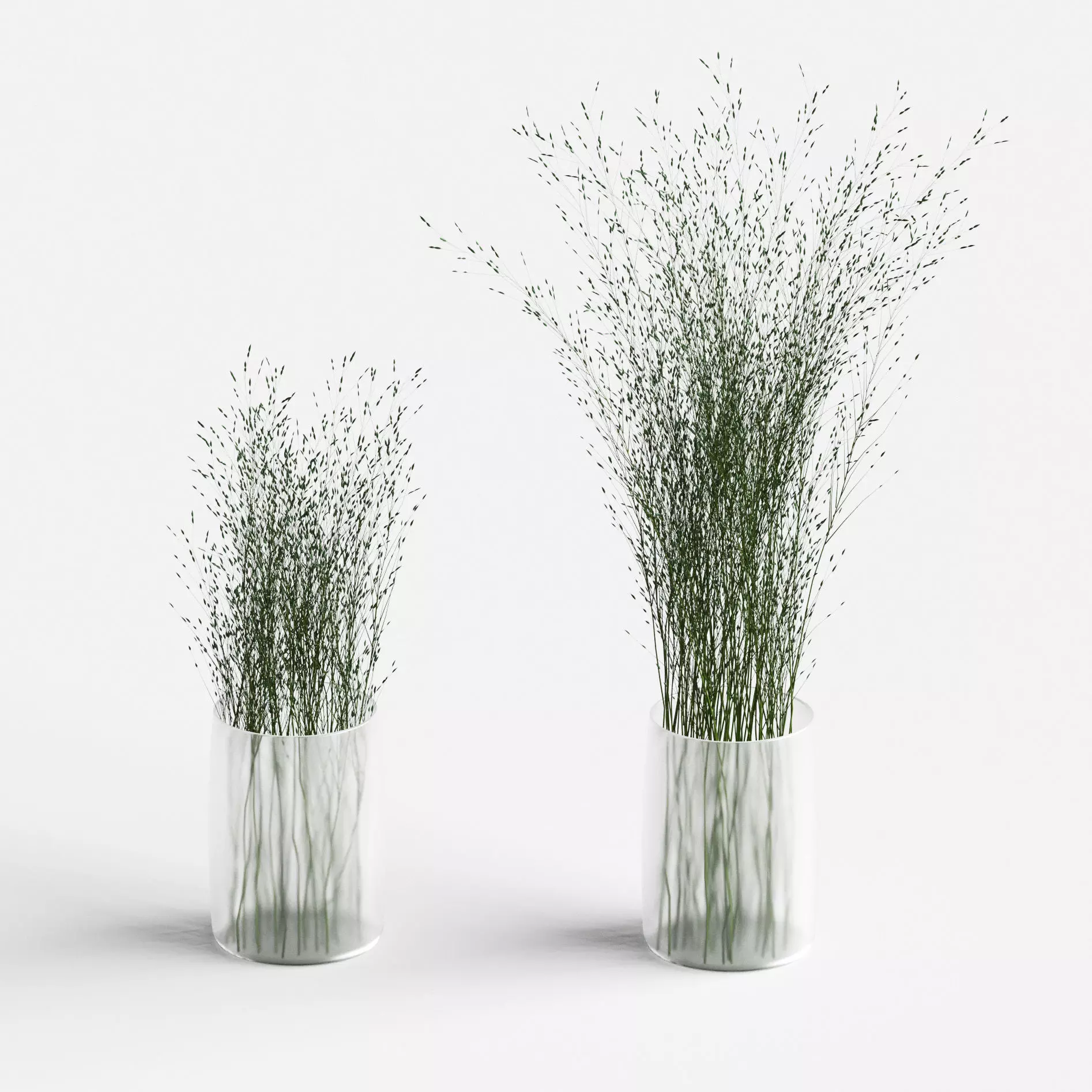 Grass in vases 3D model_0